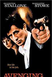 Avenging Angelo 2002 Dual Audio Hindi 480p 300MB FilmyZilla