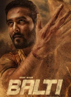 Balti FilmyZilla 2025 Hindi HQ Dubbed