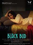 Black Bud 2021 Full Movie Download FilmyZilla